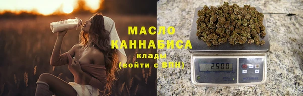 амф Гусь-Хрустальный