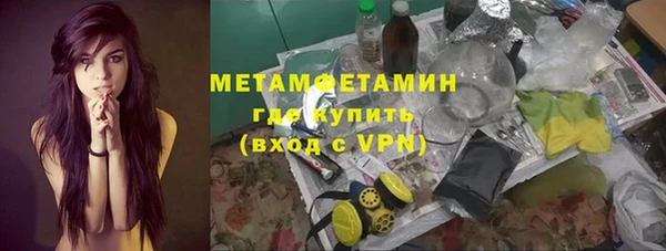 амф Гусь-Хрустальный