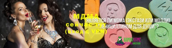 амф Гусь-Хрустальный