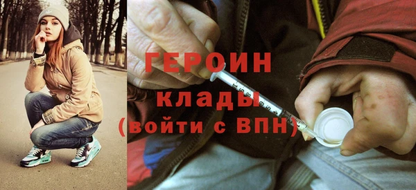 индика Дмитриев