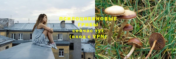 амф Гусь-Хрустальный