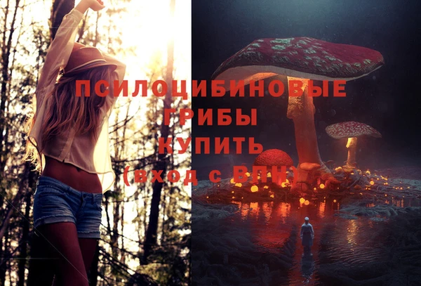 гашишное масло Гусев