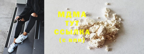 индика Дмитриев