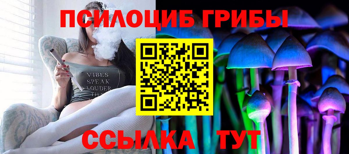 Горно-Алтайск  Псилоцибиновые грибы Psilocybine cubensis  Псилоцибиновые грибы Psilocybe  Вход с VPN 