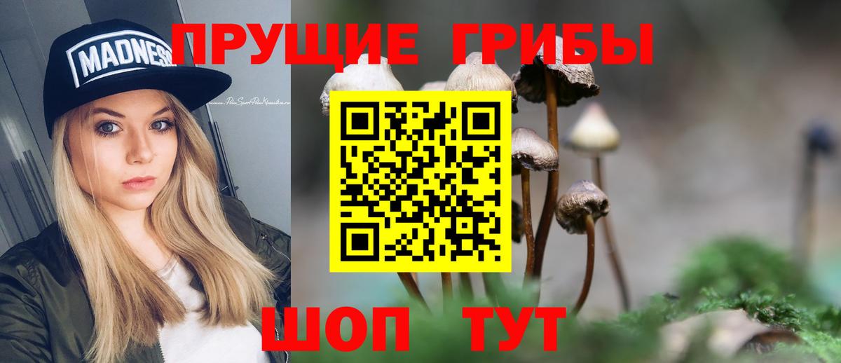 Галлюциногенные грибы Psilocybine cubensis  Горно-Алтайск  Галлюциногенные грибы MAGIC MUSHROOMS 